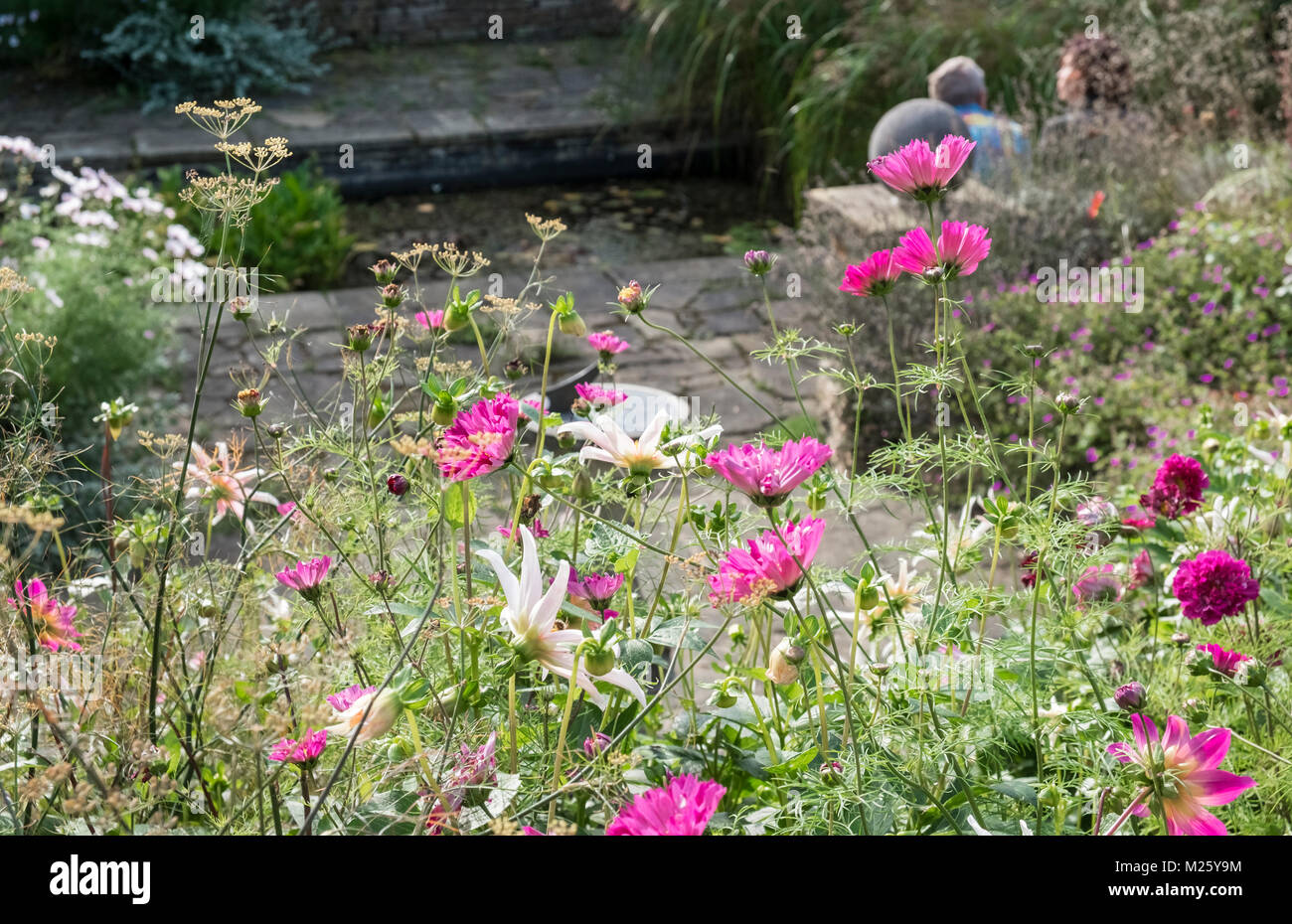 Ende Sommer Landhaus Stil rosa und weiß blühenden Garten, Harlow Carr Gärten, North Yorkshire, England, Großbritannien Stockfoto