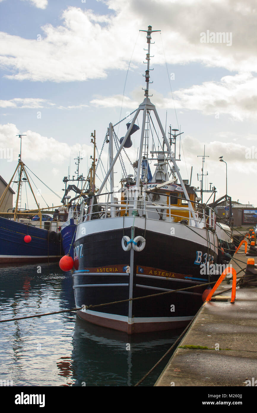 Die kommerzielle Fischtrawler Asteria gebunden in Portavogie Harbour im County Down vor kurzem landete sie fangen Stockfoto