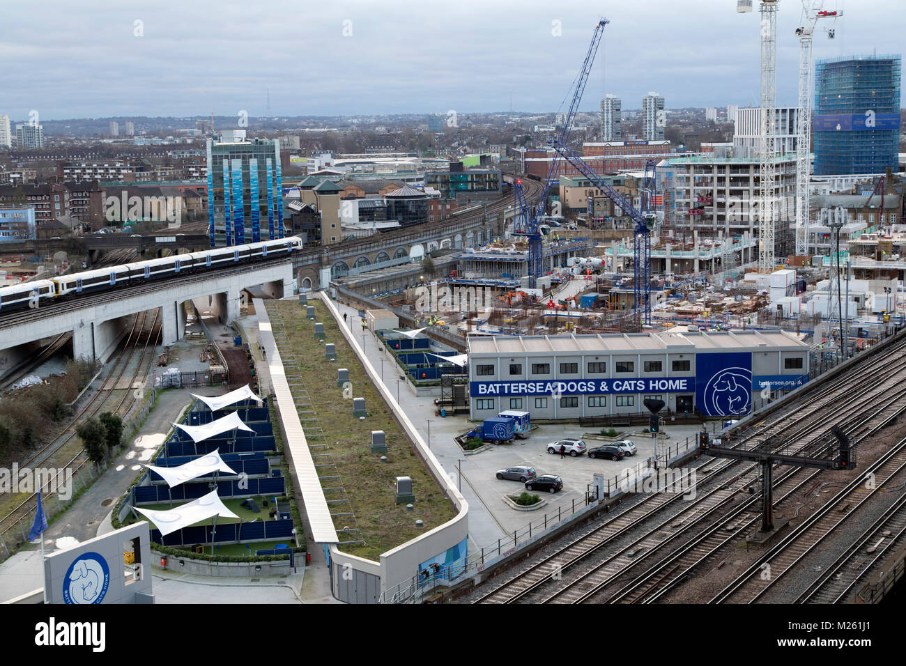 Hunde und Katzen Battersea in London, England. Das Tierheim steht durch eine Bahnlinie. Stockfoto