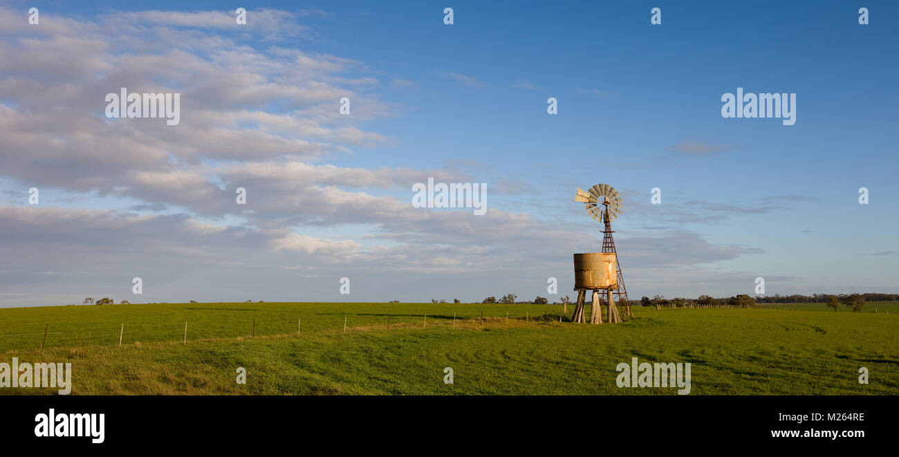 Southern Cross Windmühle und tnk stehend in einer Koppel in der Nähe der kleinen ländlichen Stadt Nhill. Stockfoto