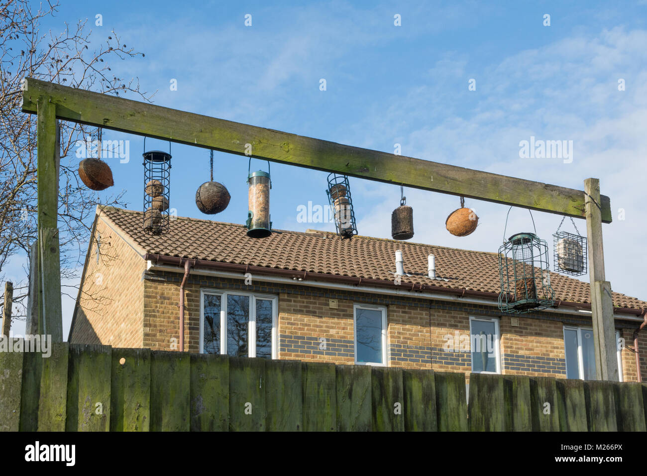 Reihe von futterhäuschen hing von einer hölzernen Balken außerhalb eines Suburban House Stockfoto