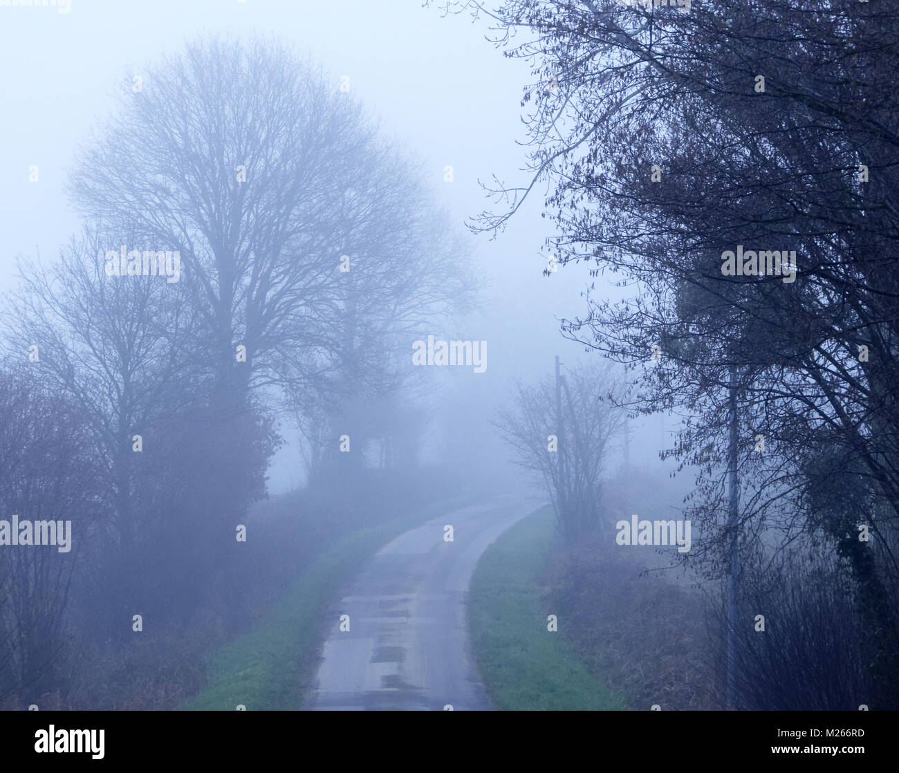 Kleine Landstraße im Nebel (Norden Mayenne, Pays de la Loire, Frankreich). Stockfoto