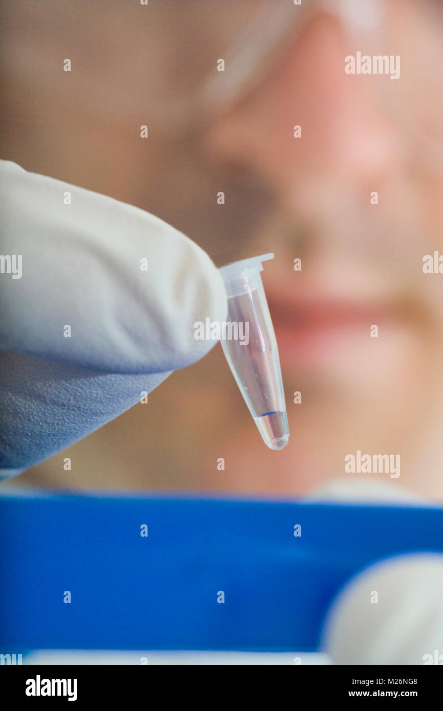 Eppendorf Rohre Stockfotos Und Bilder Kaufen Alamy