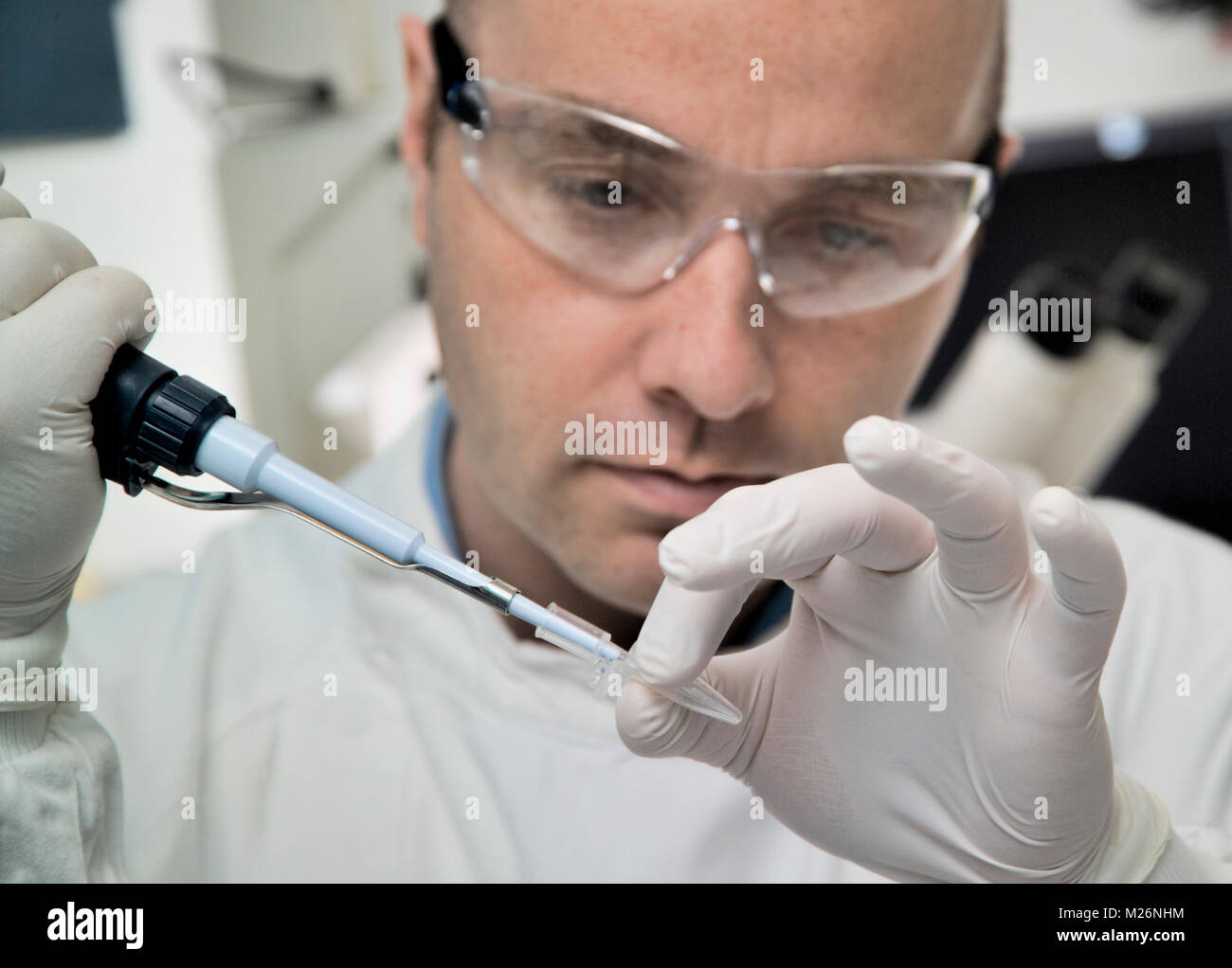 Wissenschaftler im Labor mit einer Mikro-Pipette genau gemessene Menge an Flüssigkeit in ein Reagenzglas zu übertragen. Stockfoto