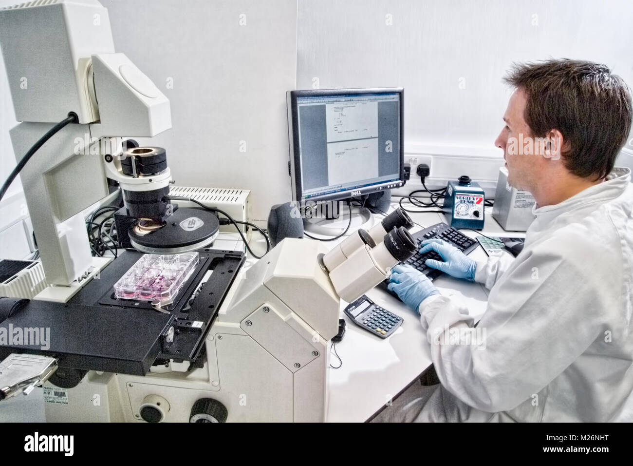 Wissenschaftler verwendet Fluoreszenzmikroskop Ausrüstung heraus eine quantitative Assay eines biochemischen Experiment durchzuführen. Stockfoto