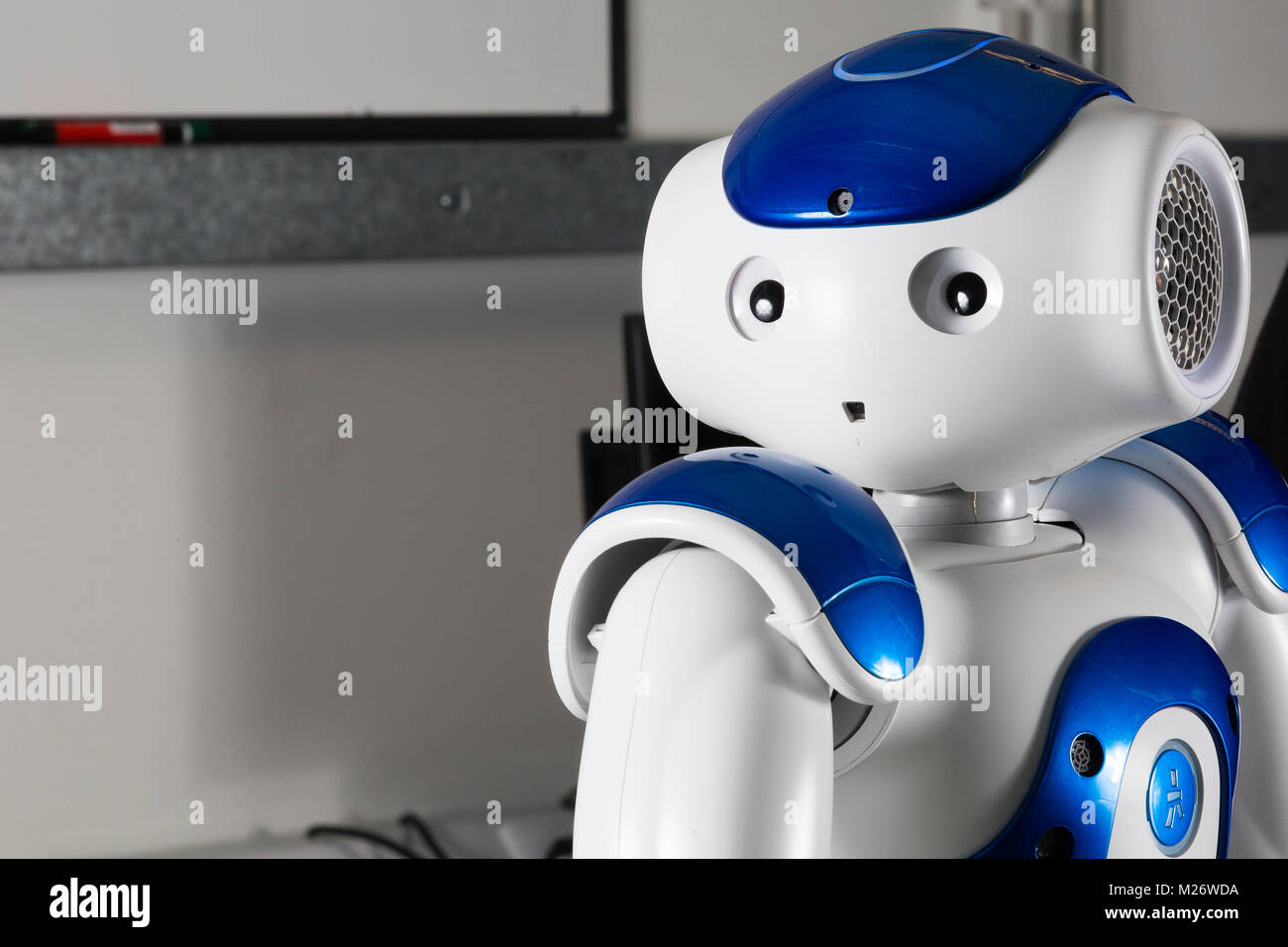 Ein weißer und blauer Roboter schaut über ihre Schulter. Stockfoto