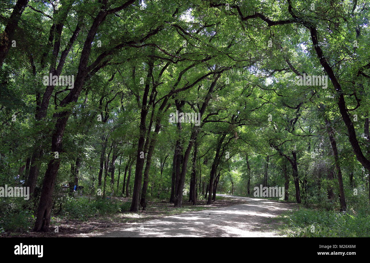 Scenic Trail in Mayfield Park, Austin, Texas, USA Stockfoto