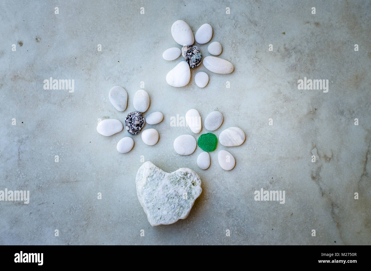 Stony Blumen aus kleinen Kieseln Stockfoto