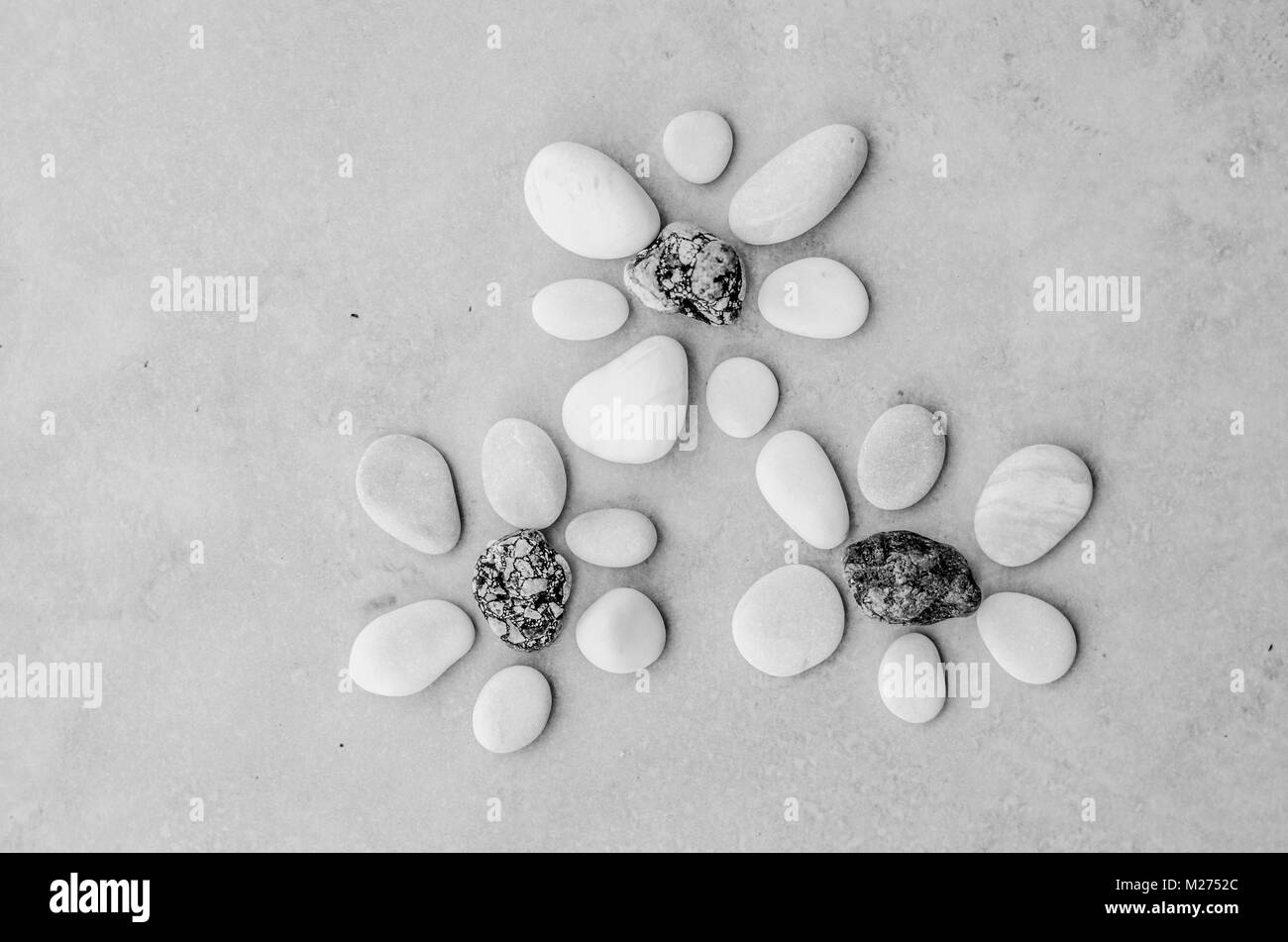 Stony Blumen aus kleinen Kieseln Stockfoto