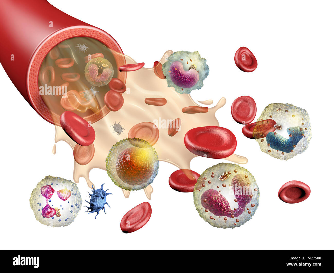 Verschiedene Bestandteile des menschlichen Blutes. 3D-Darstellung. Stockfoto