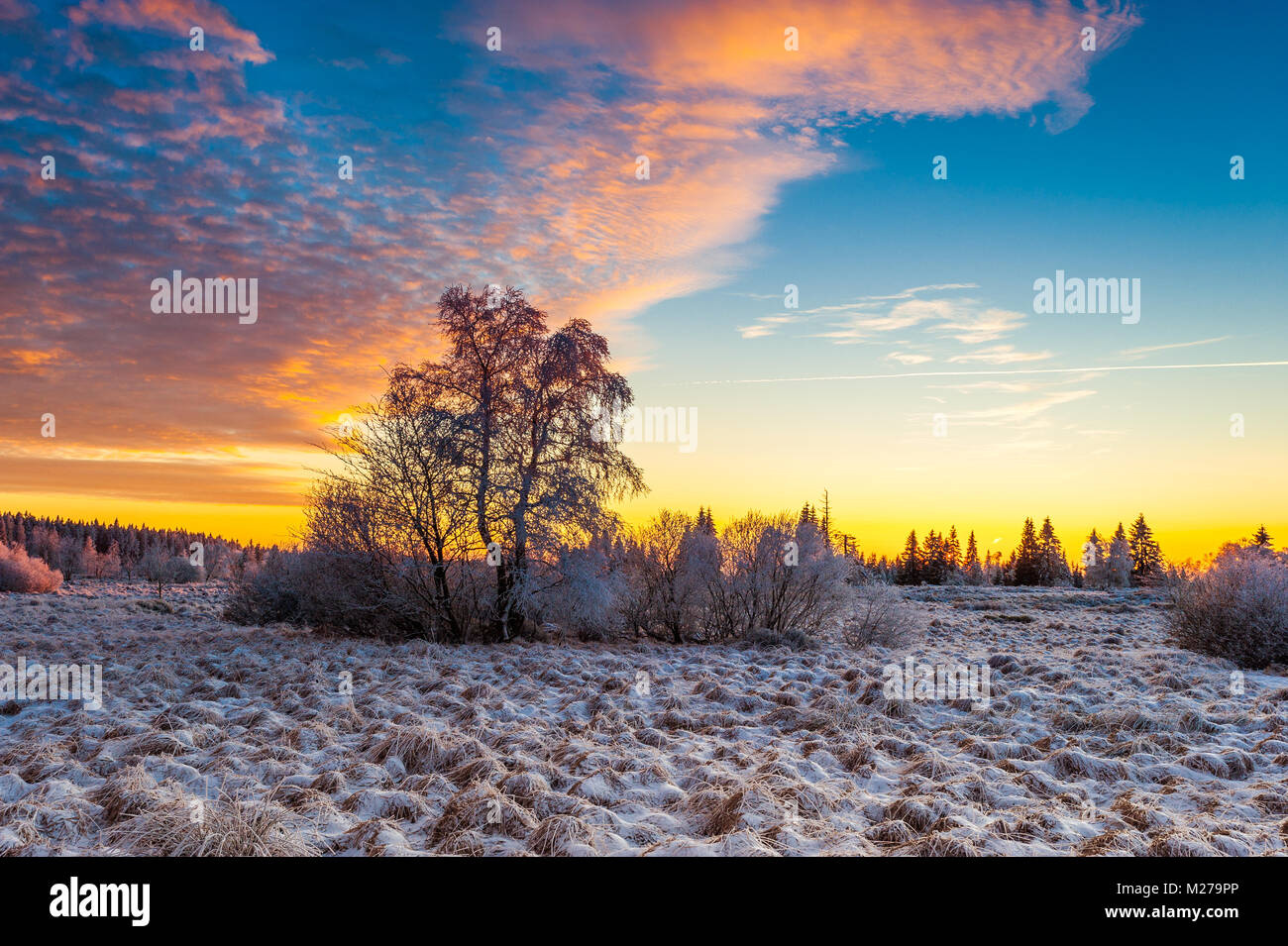 Hohe Venn Winterlandschaft Stockfoto