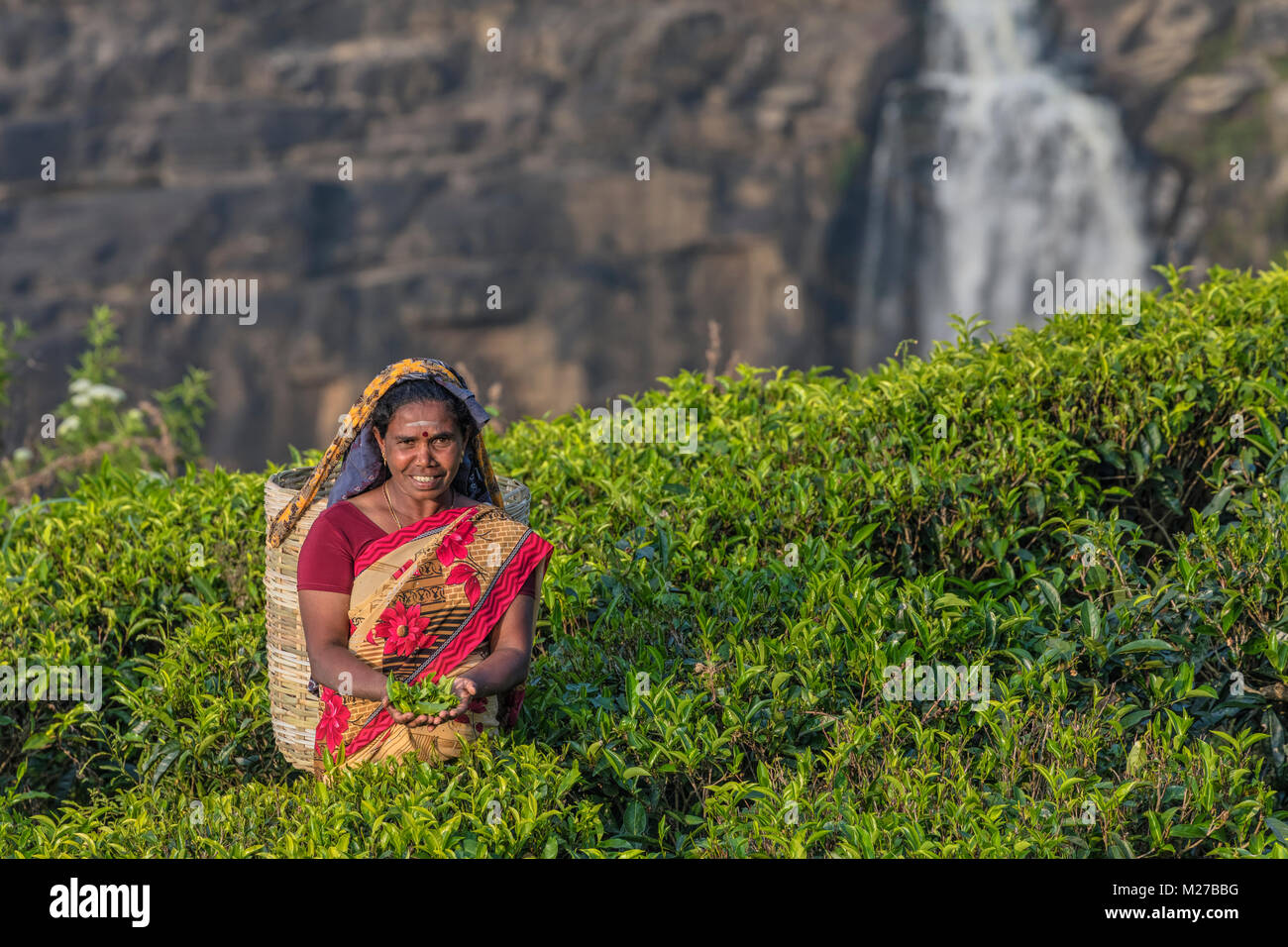 St Clair fällt, Kaffee pluckers, Nuwara Eliya, Sri Lanka, Asien Stockfoto