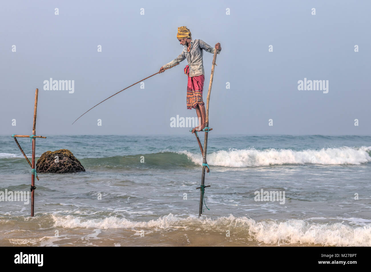 Stelze Fischer, Ahangama, Mirissa, Sri Lanka, Asien Stockfoto