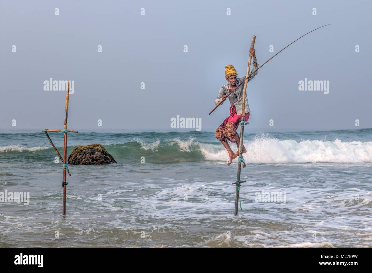 Stelze Fischer, Ahangama, Mirissa, Sri Lanka, Asien Stockfoto