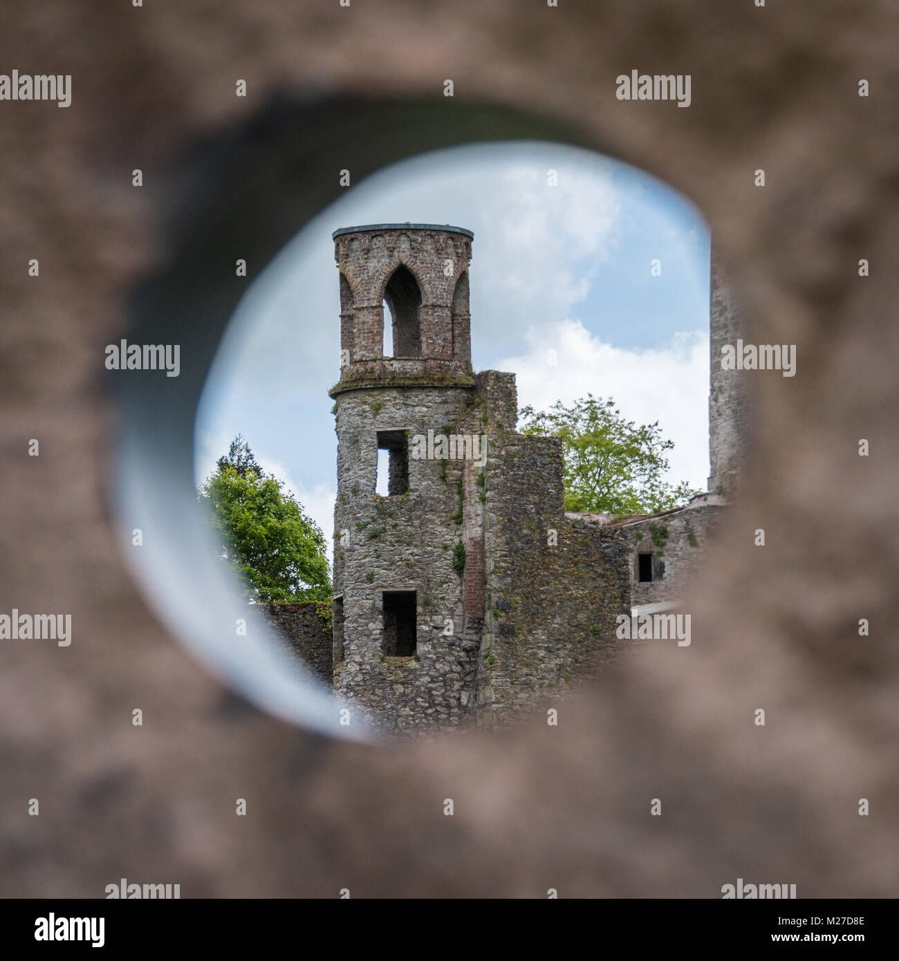 Blarney Castle und Gärten, County Cork, Irland Stockfoto