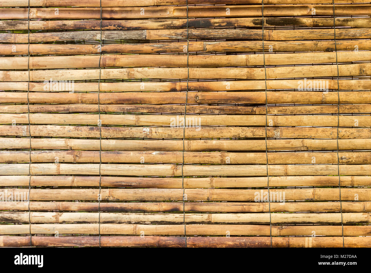 Horizontale gelb Bambus für Hintergrund Textur Stockfoto