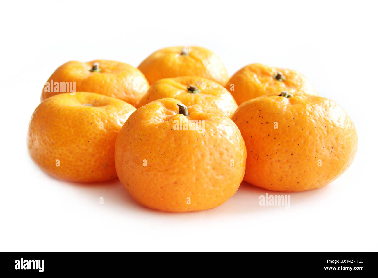 Orange, Mandarine, Citrus sinensis Stockfoto