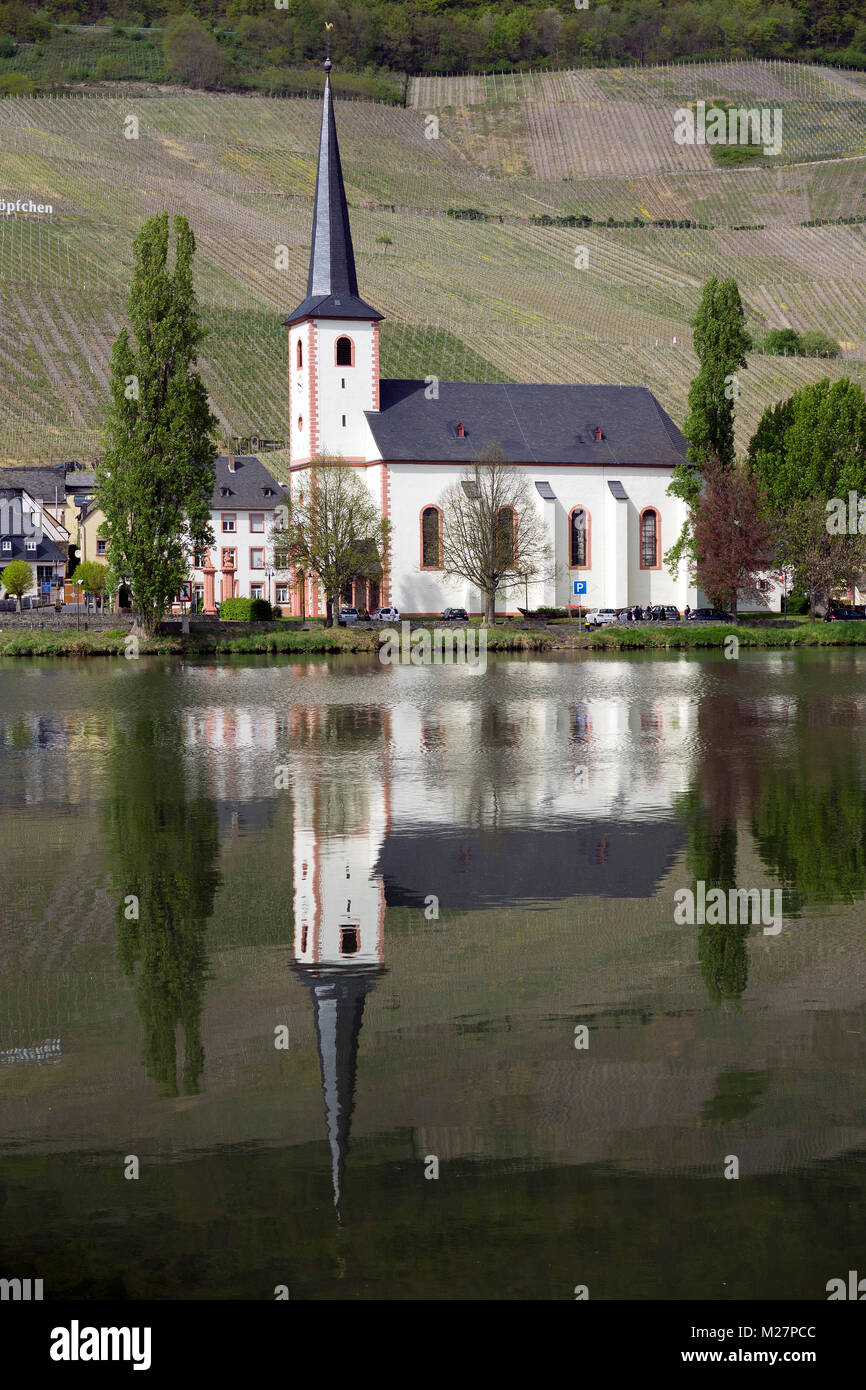 Katholische Kirche St. Michael am Flußufer, weinort Piesport, Mosel, Rheinland-Pfalz, Deutschland, Europa Stockfoto