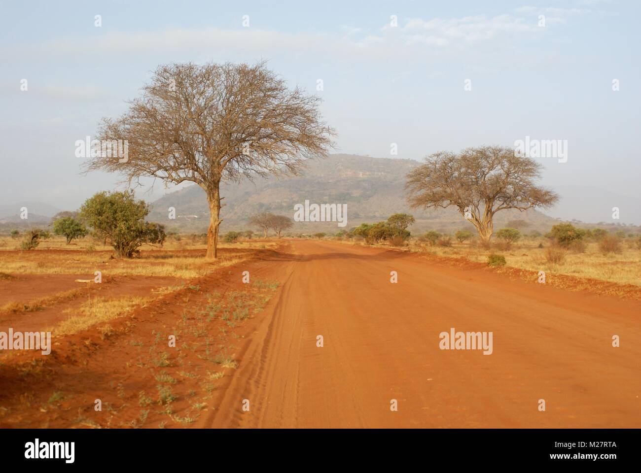 Landschaft Kenia Südafrika Stockfoto