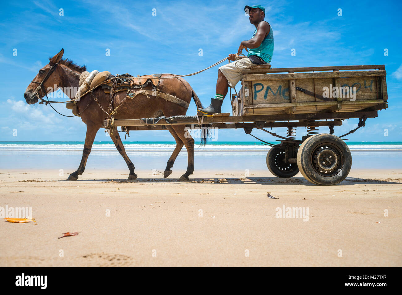 CAIRU, Brasilien - 11. MÄRZ 2017: ein Maultier zieht eine Holz- Warenkorb entlang der Küste der nordöstlichen Strand. Stockfoto