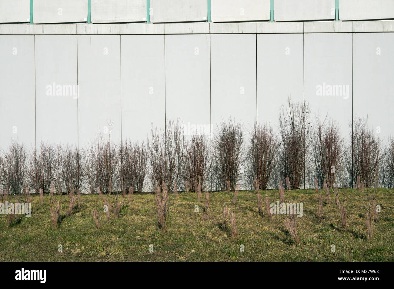 Autobahn Lärmschutzwand (sound Wand) und neue Bäume gepflanzt, neben der Autobahn Stockfoto