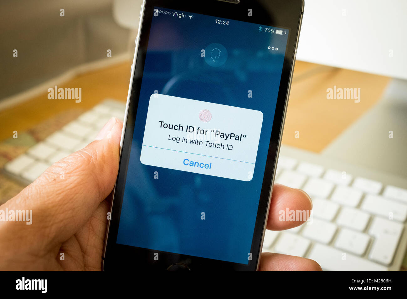 Paypal Touch ID im Bildschirm Login auf dem iPhone SE Stockfoto