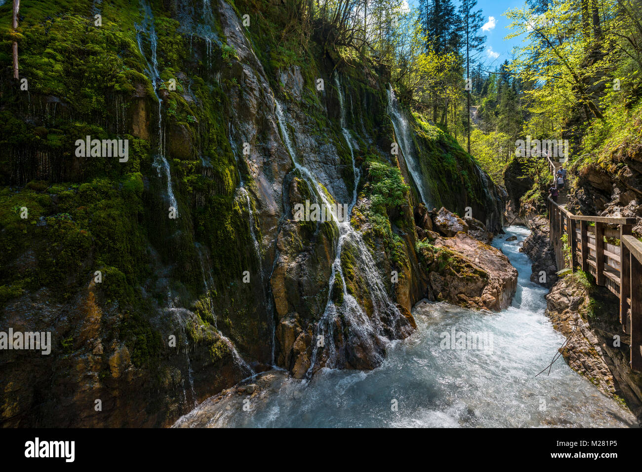Kleine Wasserfälle und Wimbach Wimbach in der Schlucht, Wimbachtal, Ramsau bei Berchtesgaden, Berchtesgadener Land, Oberbayern Stockfoto