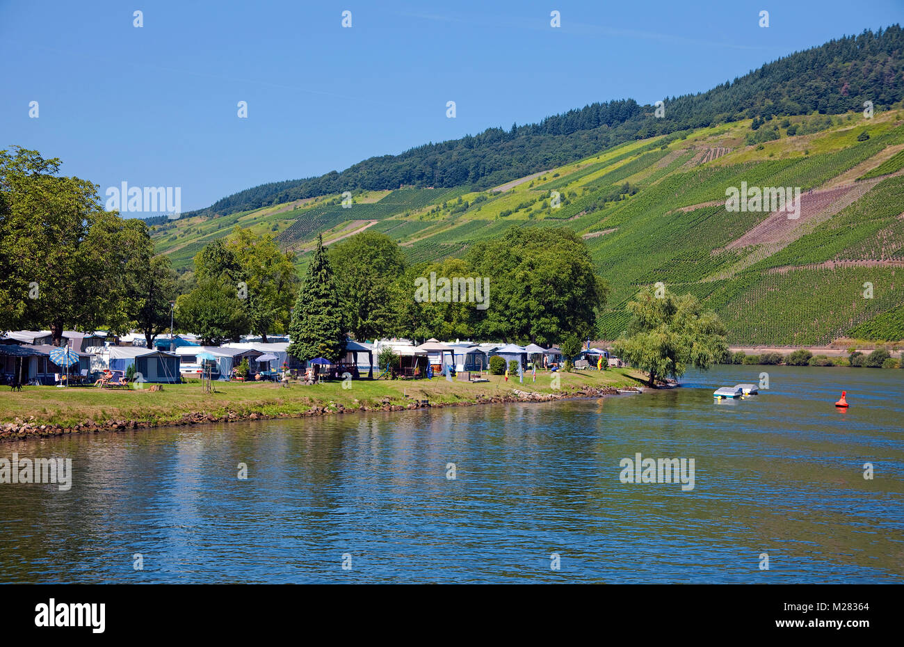 Campingplatz am Flußufer der Wolf, Traben-Trarbach, Mosel, Rheinland-Pfalz, Deutschland, Europa Stockfoto