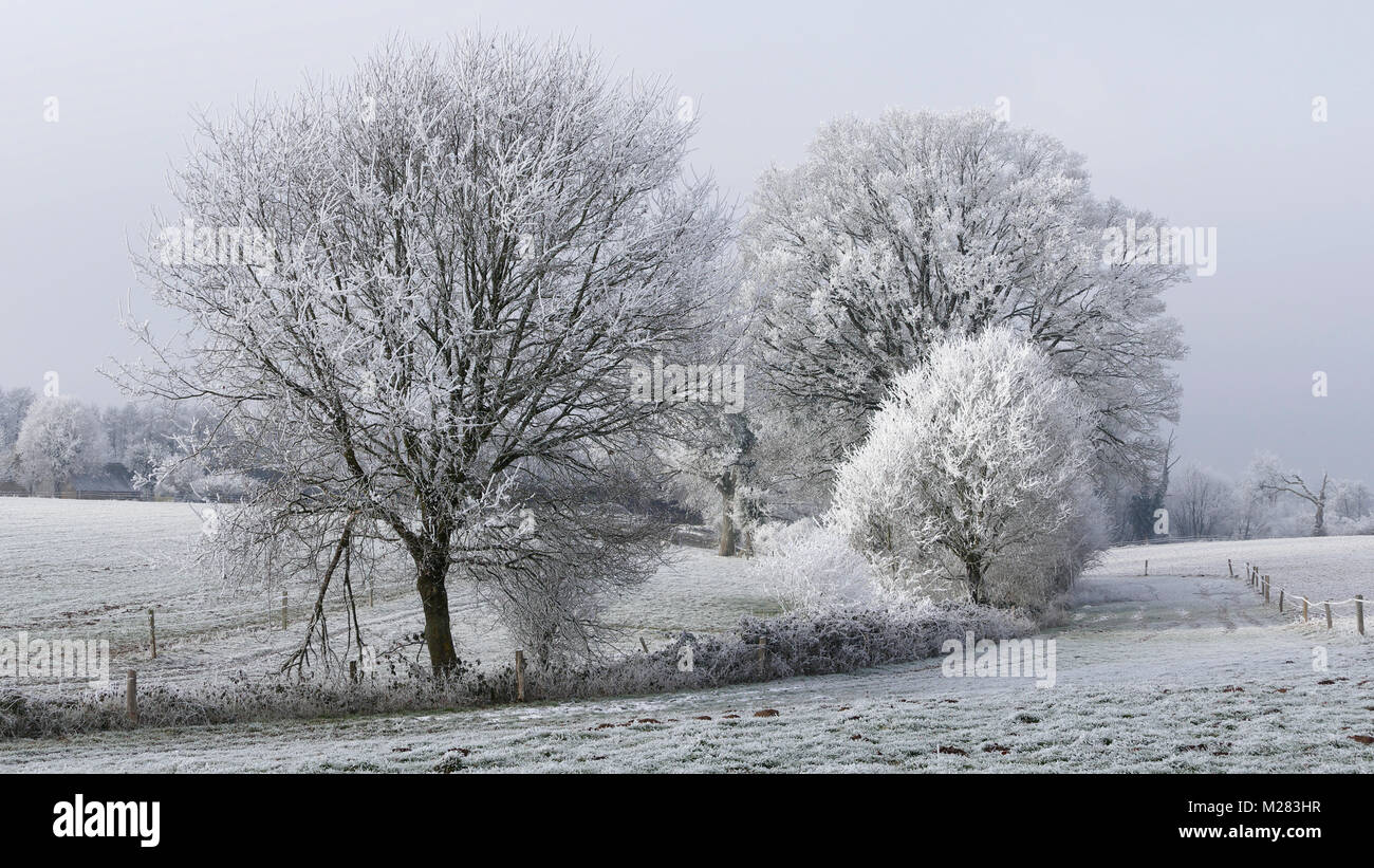 White Frost auf die Landschaft im Winter (Norden Mayenne, Pays de la Loire, Frankreich, Europa). Pays de la Loire; Frankreich; Winter Stockfoto