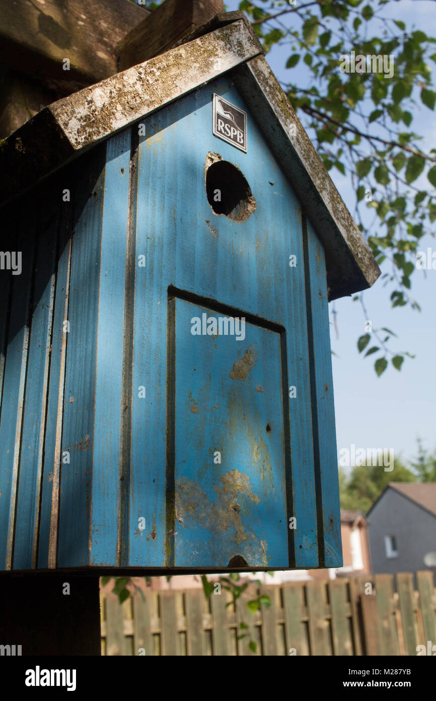 Urban bird Box Stockfoto