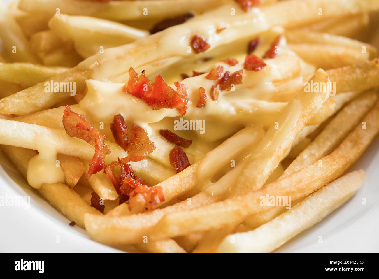 Pommes frites und Käse mit Speck auf die Oberseite in einer weißen Schüssel Stockfoto