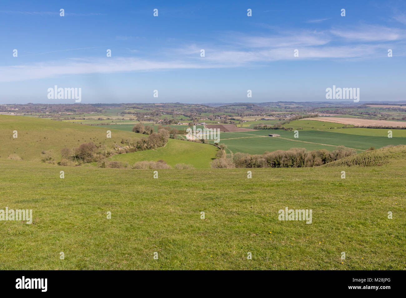 Cranborne Chase Dorset England April 20, 2016 an der Grenze von 3 Grafschaften, Dorset, Wiltshire und Hampshire, Cranborne Chase ist ein ausgezeichneter n Stockfoto