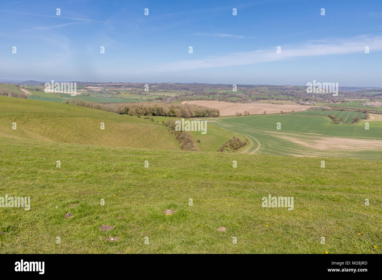 Cranborne Chase Dorset England April 20, 2016 an der Grenze von 3 Grafschaften, Dorset, Wiltshire und Hampshire, Cranborne Chase ist ein ausgezeichneter n Stockfoto