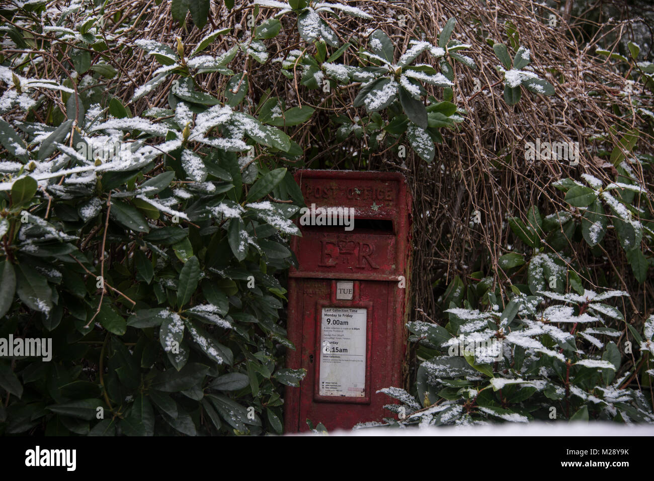 Cornwall, schneit, Cornwall, UK 06-02-2018, Verlegung in Gärten, Stockfoto