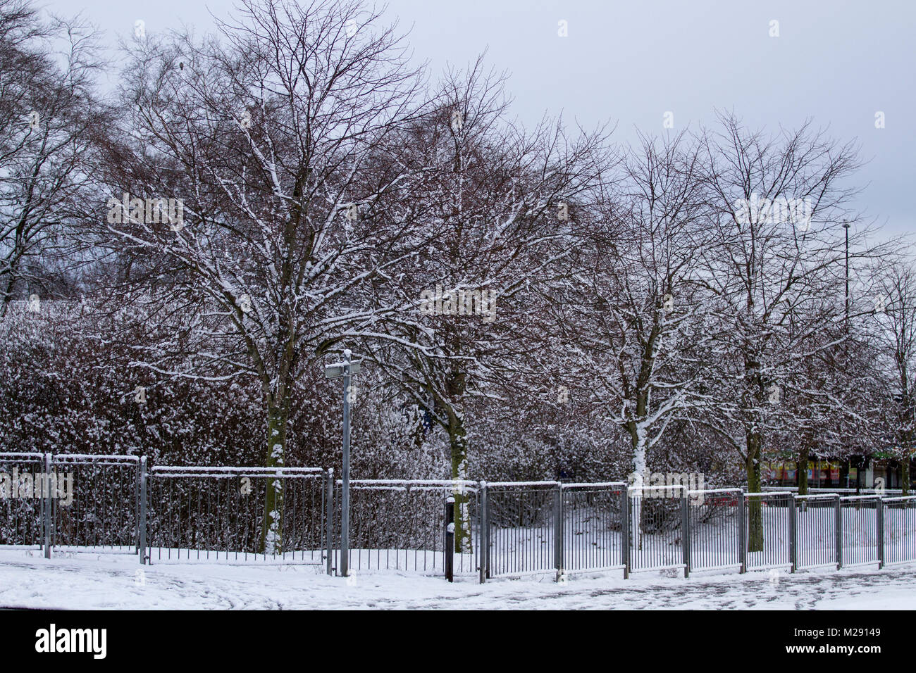 Dundee, Schottland, Großbritannien. 6. Februar, 2018. UK Wetter: eisige Temperaturen bringt über Nacht Schnee über Nordostschottland. Verschneite Bäume am Ardler Dorf Wohnsiedlung in Dundee, UK: Credits: Dundee Photographics/Alamy leben Nachrichten Stockfoto