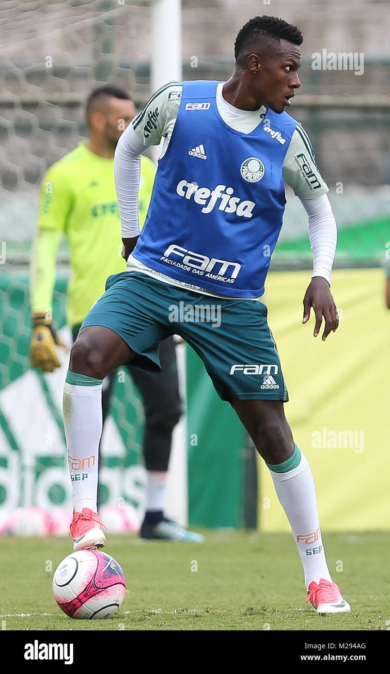 SÃO PAULO, SP - 06.02.2018: TREINO TUN PALMEIRAS - Der Spieler Pedrão, von SE Palmeiras, während der Ausbildung, bei der Fußball-Akademie. (Foto: Cesar Greco/Fotoarena) Stockfoto