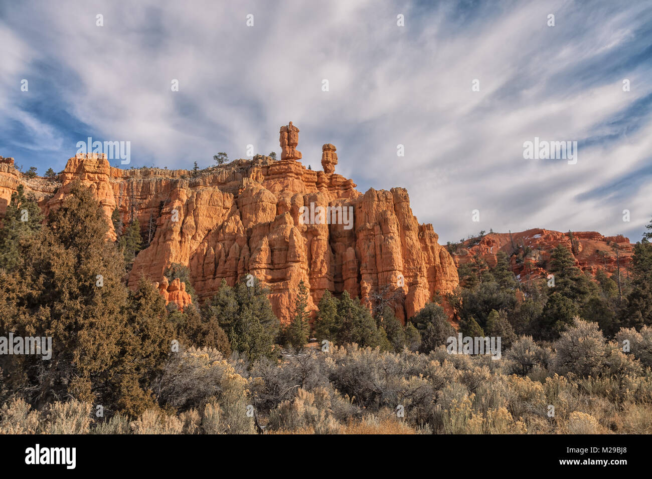 Einzigartige Felsformation aus Sandstein und die Vegetation im Südwesten Landschaft in Bryce, Utah, United States. Stockfoto