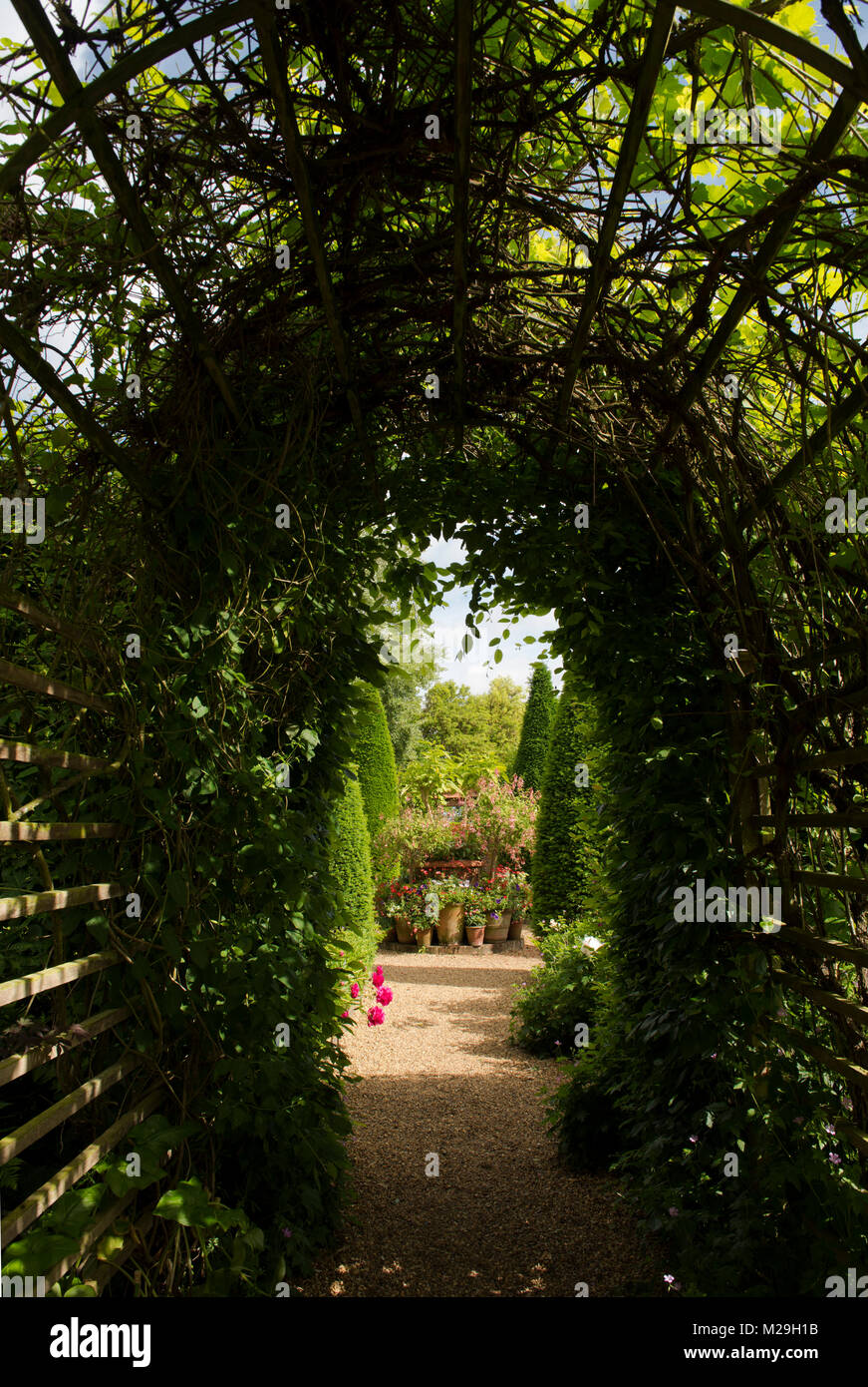 Eine hölzerne Gartenlaube, die zu einer Gruppe von Terracotta Töpfen mit Fuchsia bei East Ruston Old Vicarage, East Ruston, Norwich, Norfolk, Großbritannien gefüllt Stockfoto