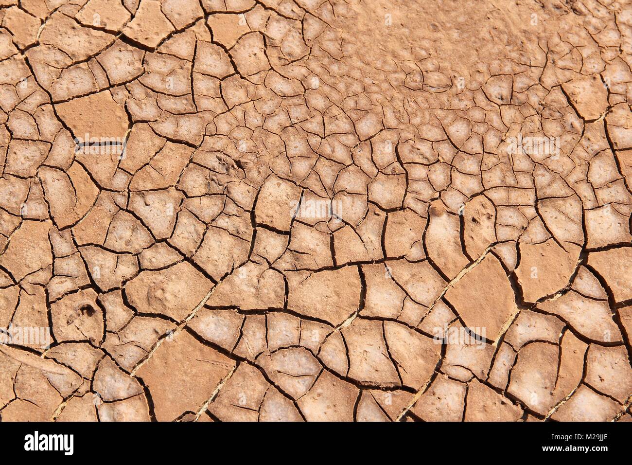 Dürre in Sudan, Afrika. Risse im trockenen Boden - globale Erwärmung. Stockfoto