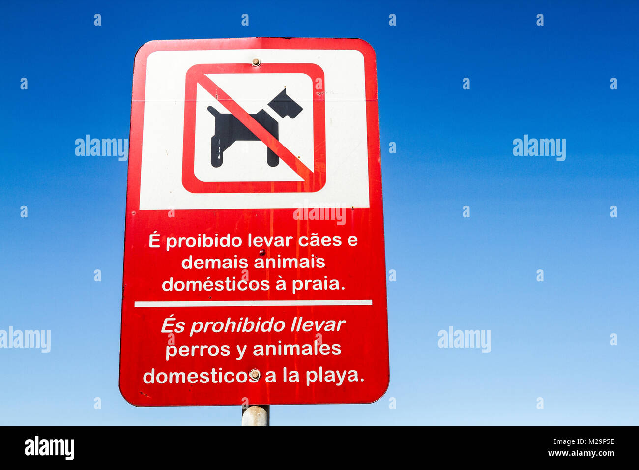 Zweisprachige urban signage an der Meia Praia. Itapema, Santa Catarina, Brasilien. Stockfoto