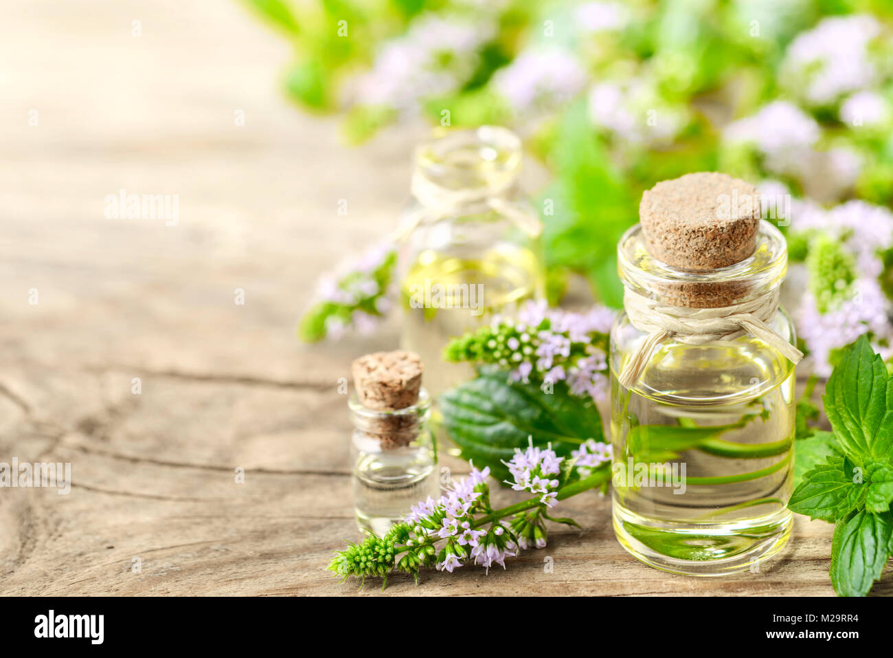 Pfefferminze und ätherisches Öl Pfefferminze Blumen auf dem Holzbrett Stockfoto