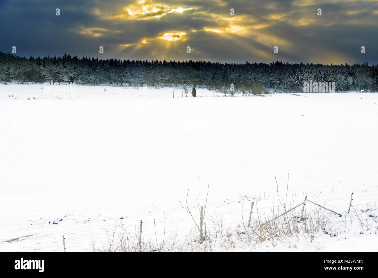 Das Sonnenlicht wird versuchen, durch die dicken Wolken über einem Wald hinter einem Bauern Feld an einem kalten Wintermorgen zu brechen. Schnee auf dem Feld und die Bäume. F Stockfoto