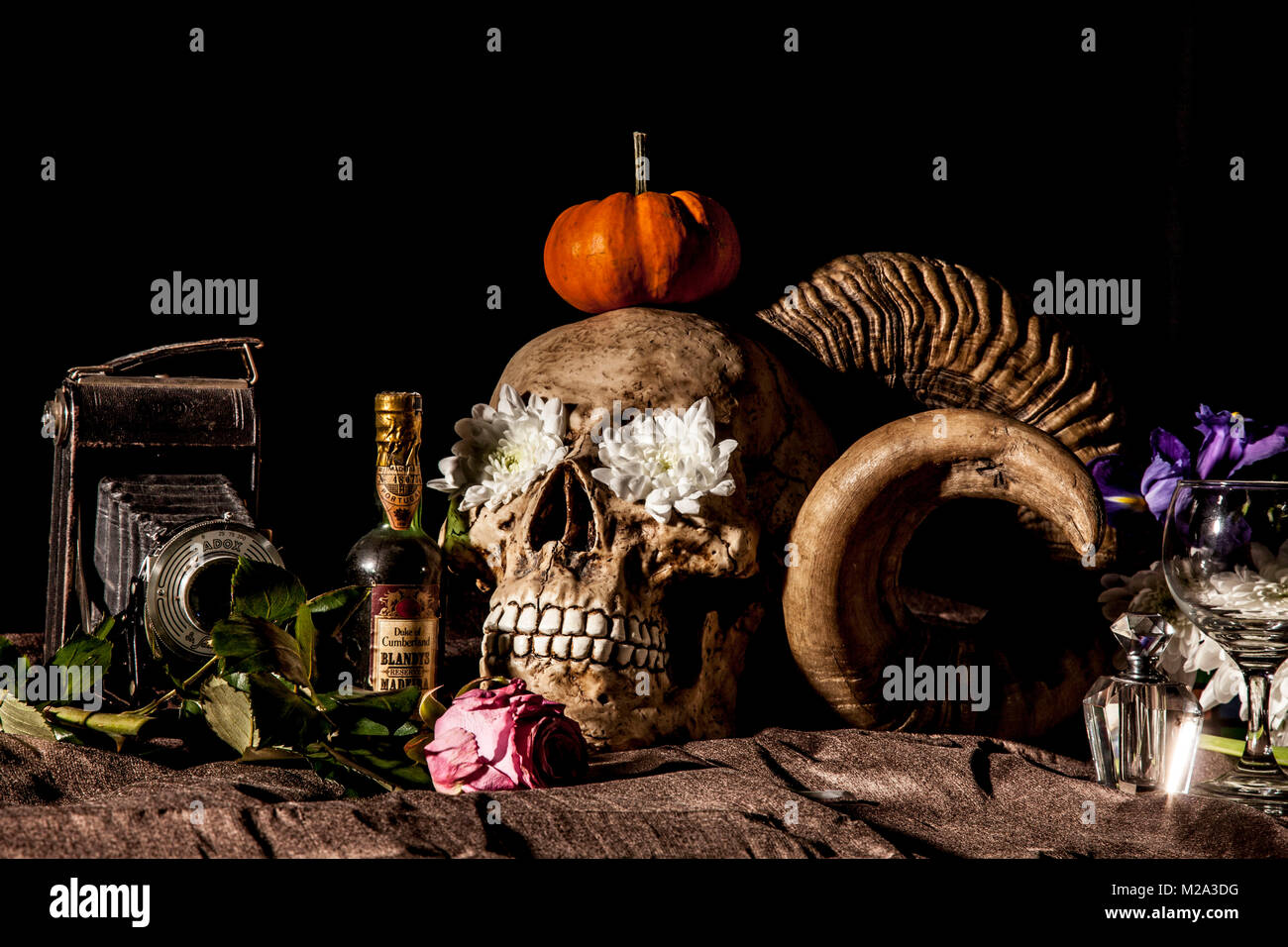 Studio Schuß von Vanitas inspiriert. Stockfoto