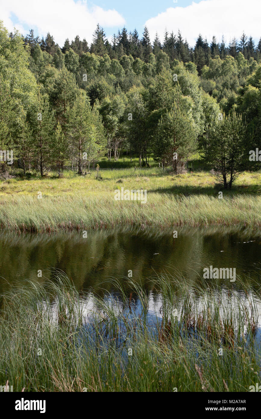 Die Fee Lochan auf der Glen Tanar Immobilien in der Nähe von Aboyne, Aberdeenshire, Schottland Stockfoto