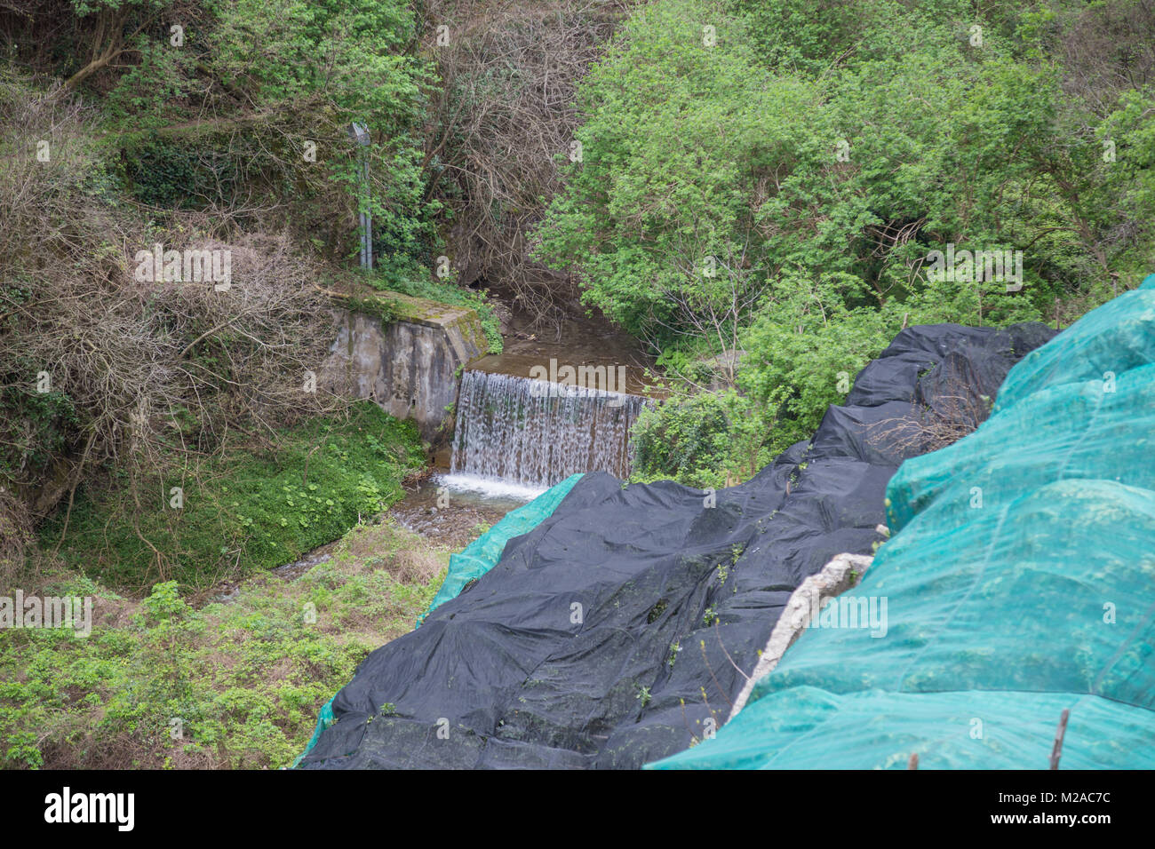 Amalfi, Kampanien, Italien, 12. März 2017. Zitronen durch ein Netz für den Winter fallen Sie nicht ruinieren Stockfoto