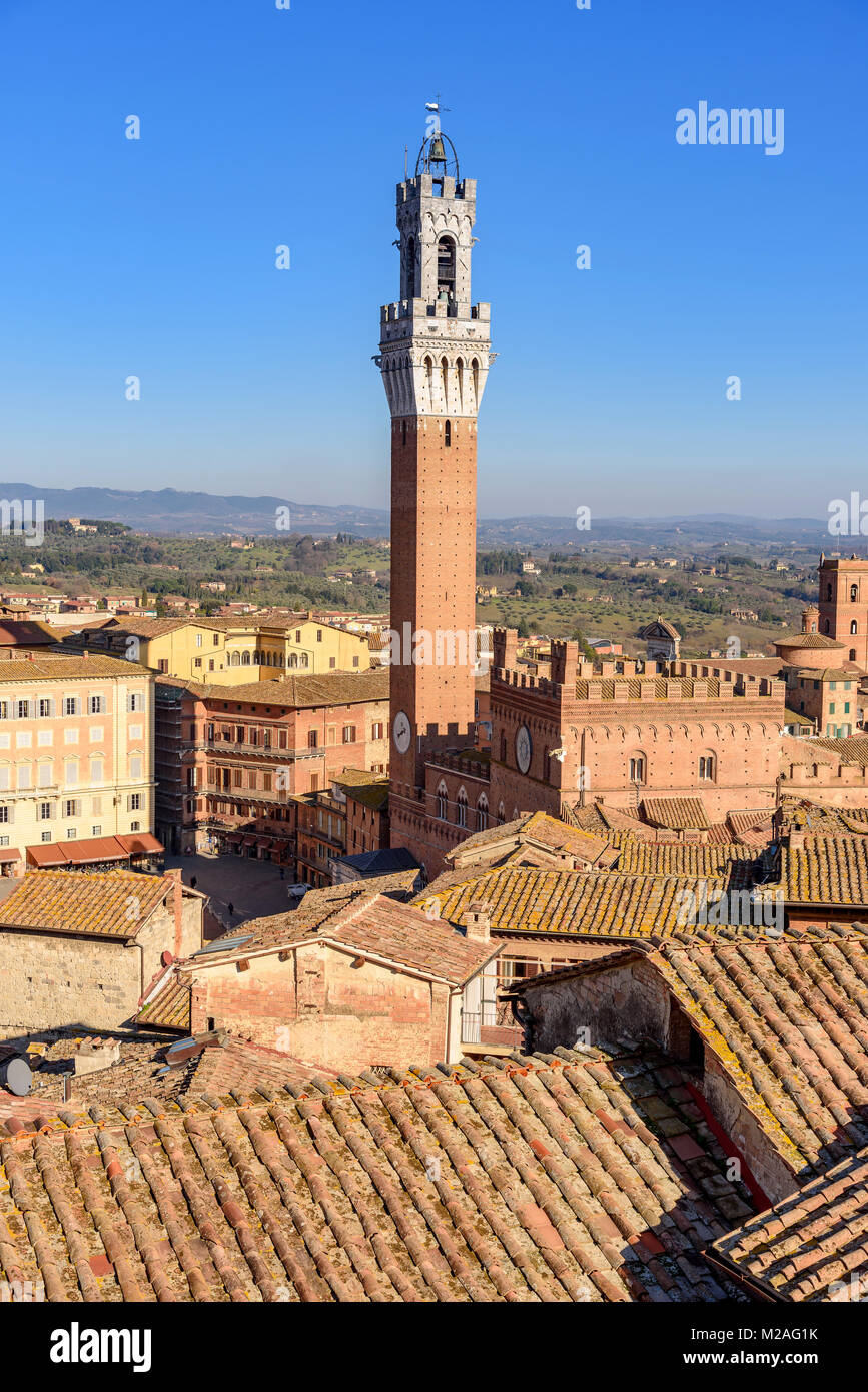 Siena und die mangia Turm, Toskana, Italien Stockfoto