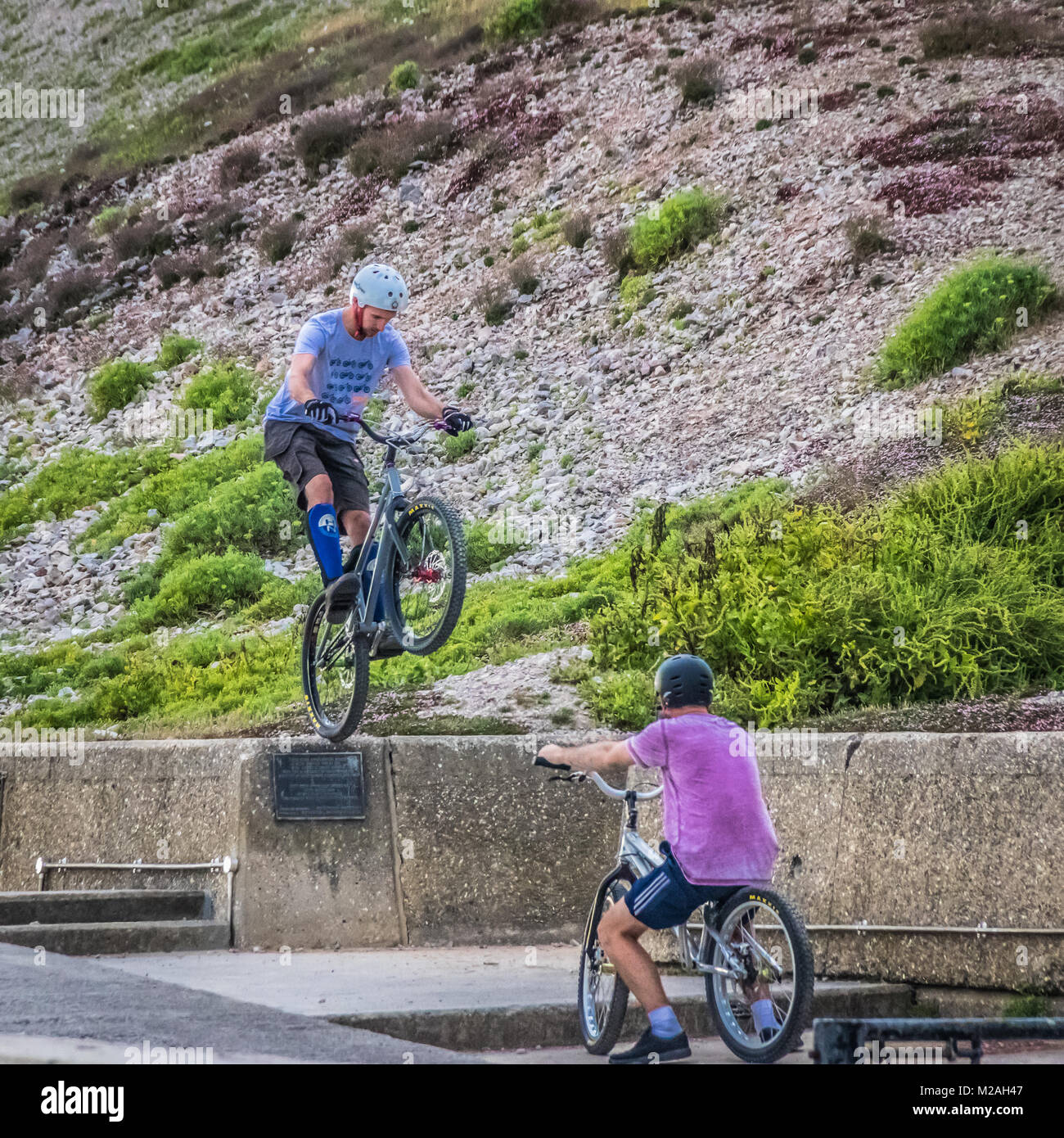 Mountainbiker knallen einen Wheelie Stockfoto