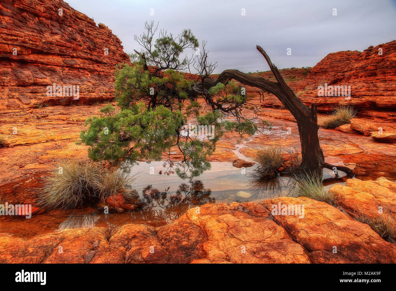 Australien Kings Canyon im Jahr 2015 getroffen Stockfoto