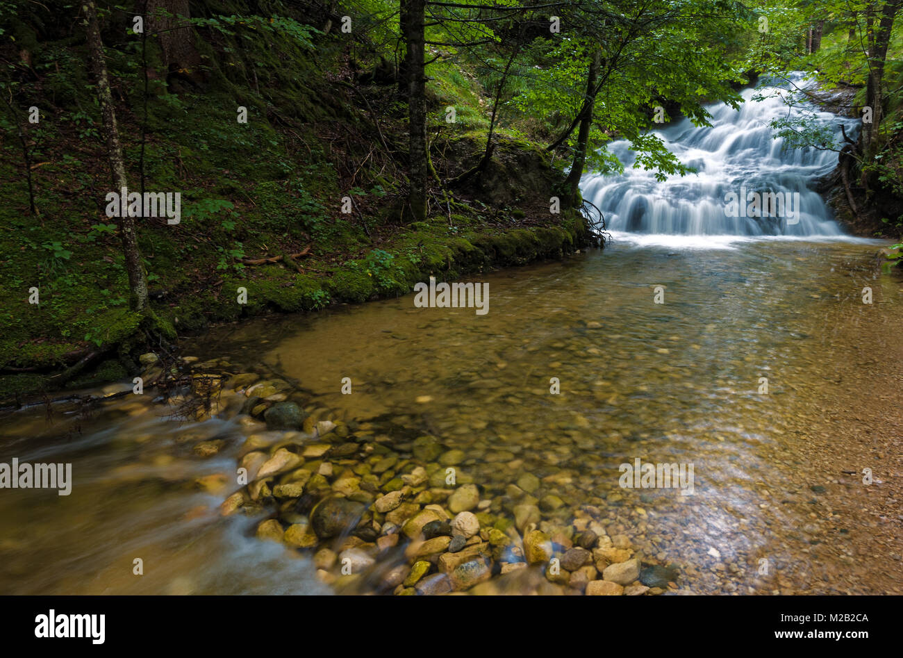 Lainbach Creek und kleinen Wasserfall, Deutschland Stockfoto