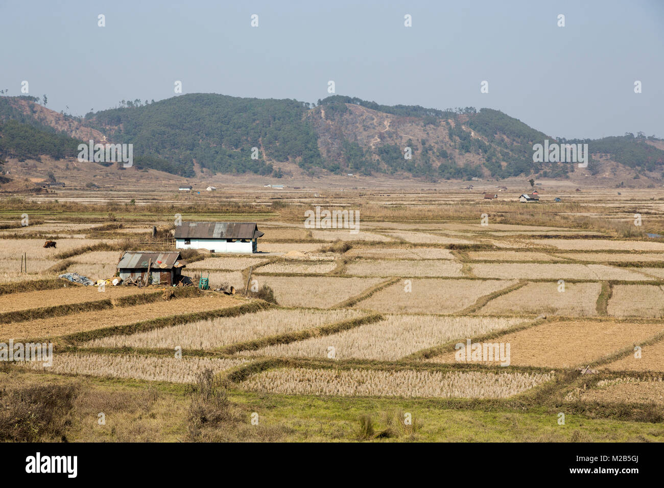 Felder in Meghalaya, Indien Stockfoto